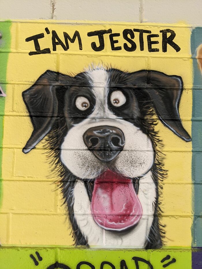 I Was Commissioned To Do The Largest Dog Caricature Mural For The City Of Bayswater, Australia (8 Pics) I Was Commissioned To Do The Largest Dog Caricature Mural For The City Of Bayswater, Australia (8 Pics)