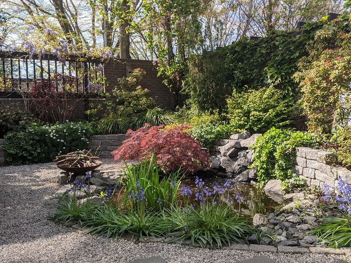 Little Dutch Garden In Spring With Some Japanese Influences