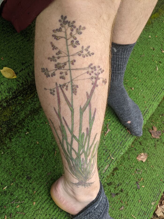 Tattoo of a wildflower on a person's lower leg, with details of stems and leaves, set against a green background.