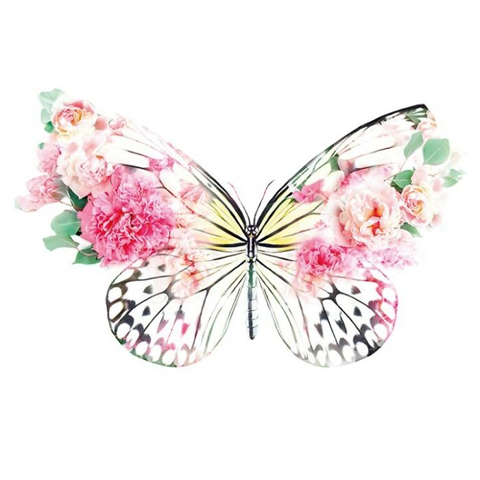 Painting Botanical Animals Are My Thing. Lola Design