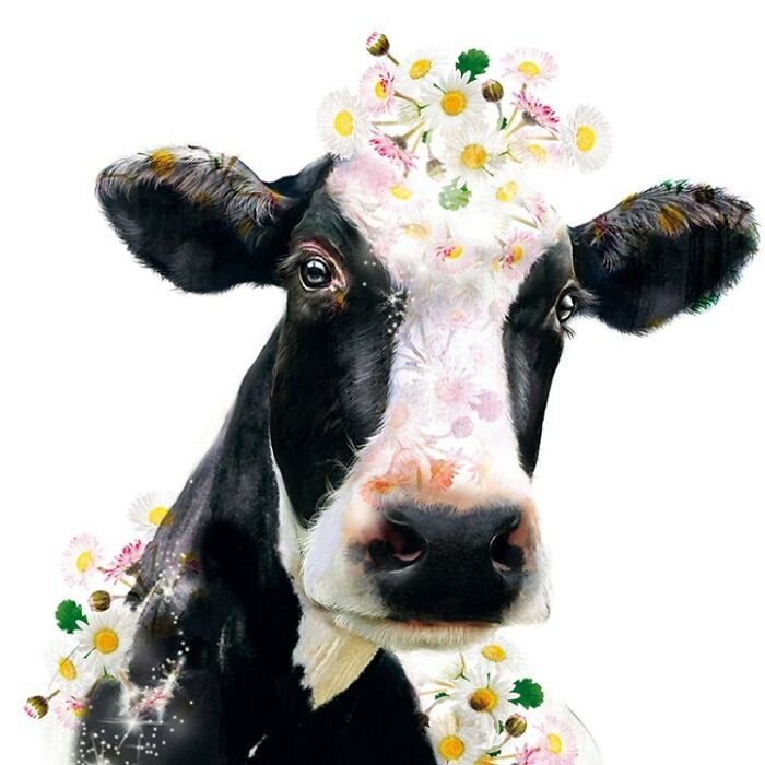 Painting Botanical Animals Are My Thing. Lola Design