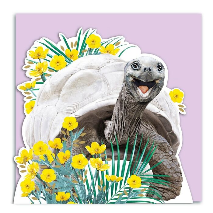 Painting Botanical Animals Are My Thing. Lola Design