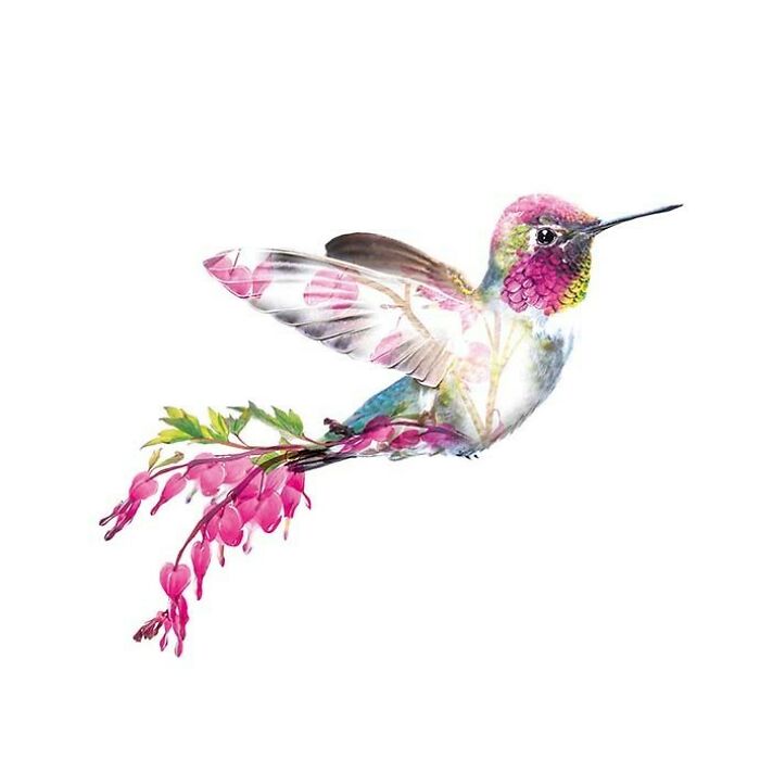 Painting Botanical Animals Are My Thing. Lola Design