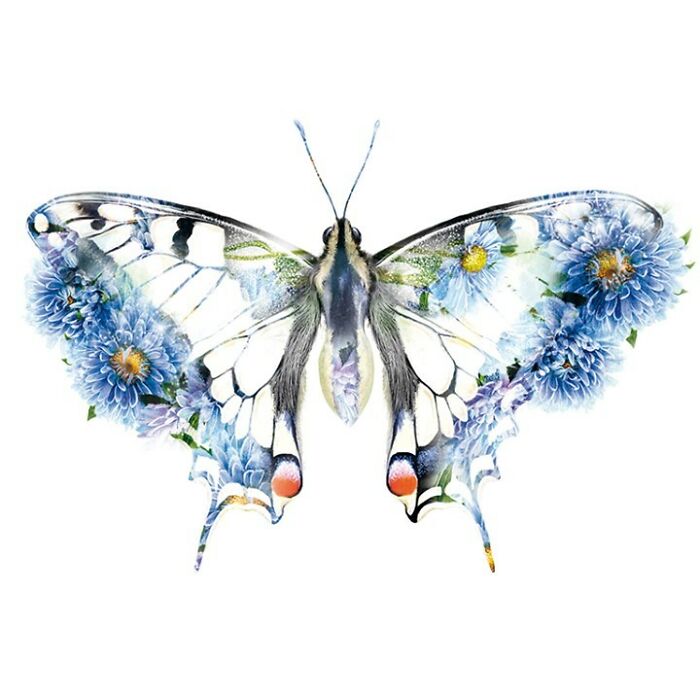 Painting Botanical Animals Are My Thing. Lola Design