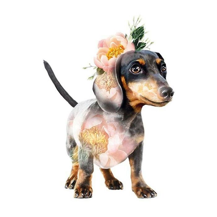 Painting Botanical Animals Are My Thing. Lola Design