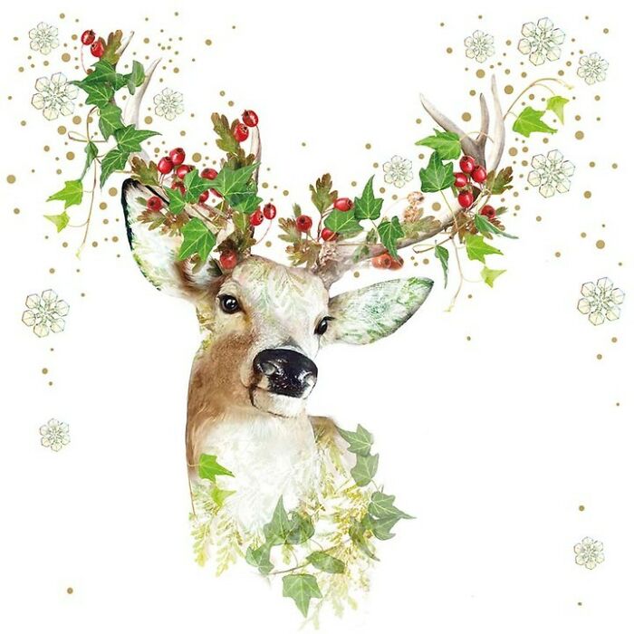 Painting Botanical Animals Are My Thing. Lola Design