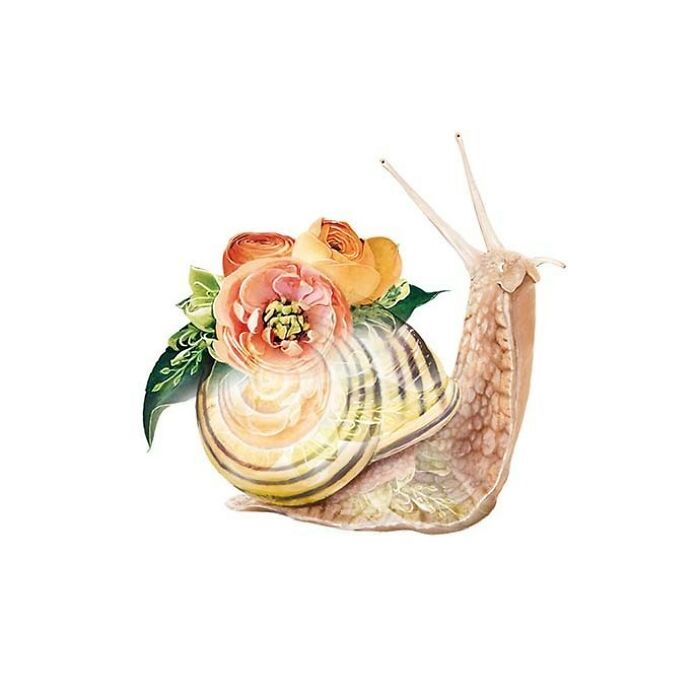 Painting Botanical Animals Are My Thing. Lola Design