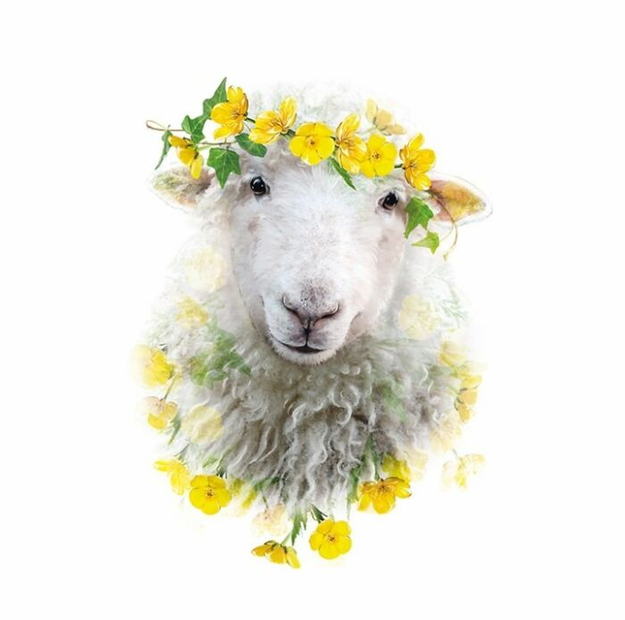 Painting Botanical Animals Are My Thing. Lola Design