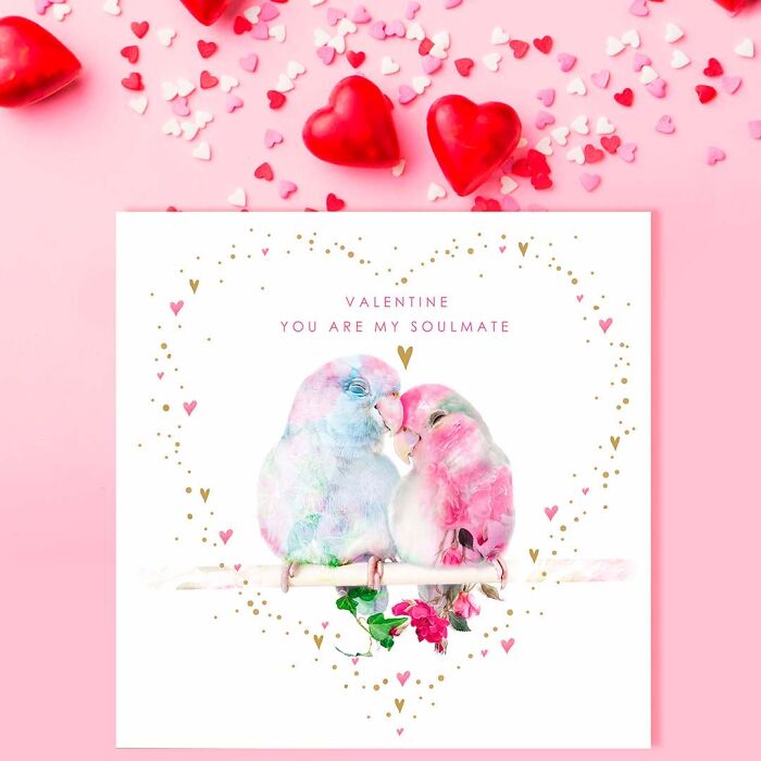 Painting Botanical Animals Are My Thing. Lola Design