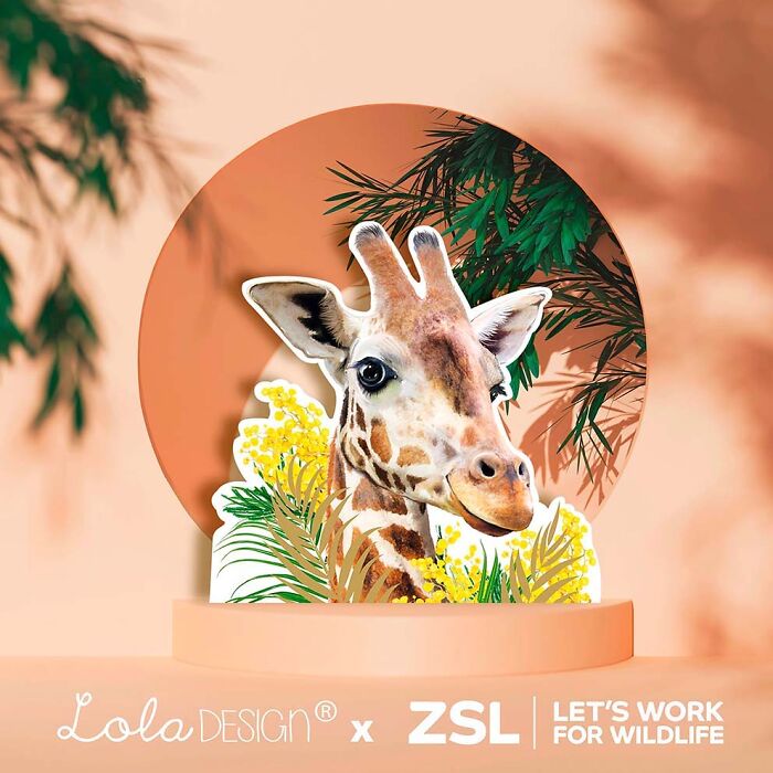 Painting Botanical Animals Are My Thing. Lola Design