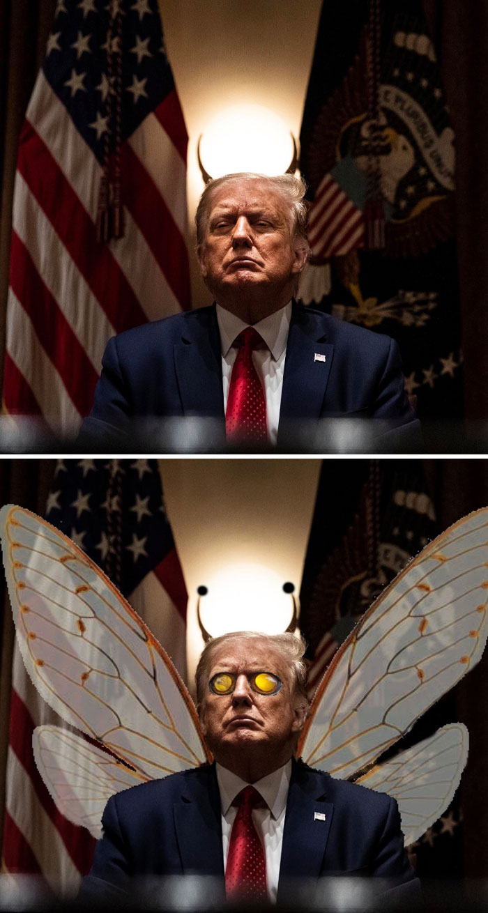 President Trump In The Cabinet Room