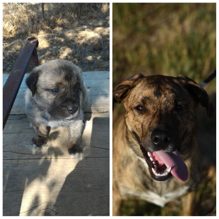 Noa: Com 2 Semanas E Com 2 Anos