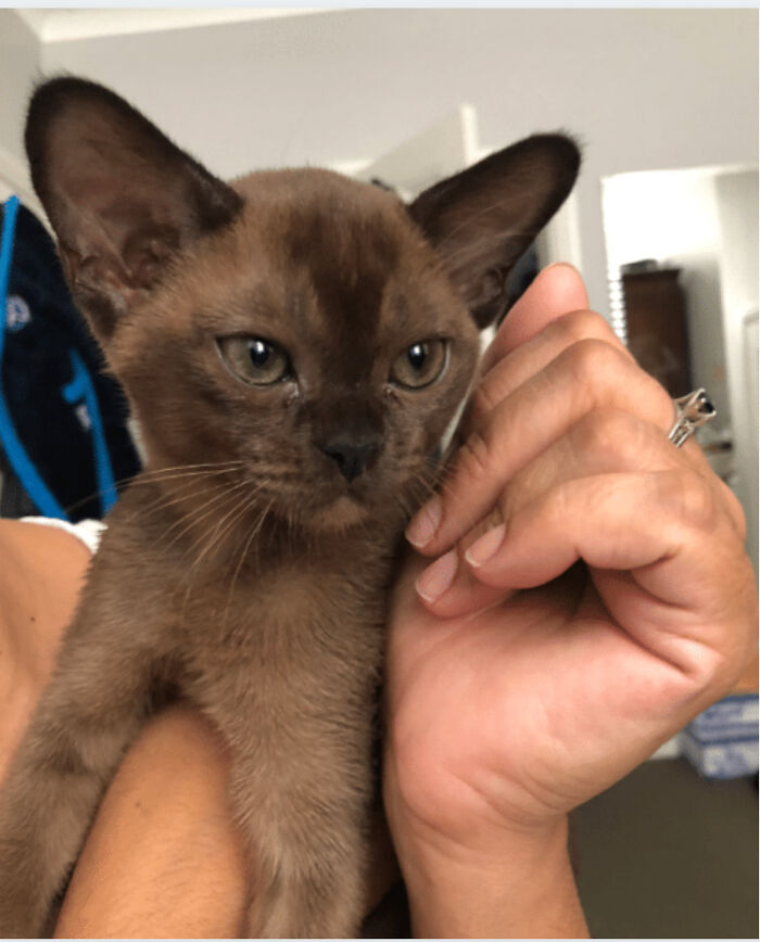 The Day We Got Our Baby