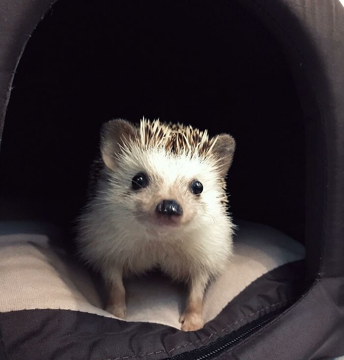 You Said Food? I'm Coming!