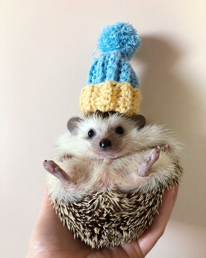 With Love From Ukraine