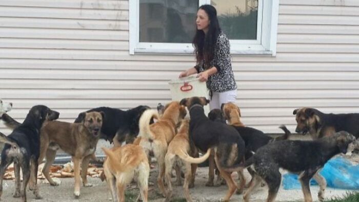 Almost Every Day After Work, This Woman Drives Up The Hills Of Sapanca In Turkey To Take Care Of Neglected Dogs There