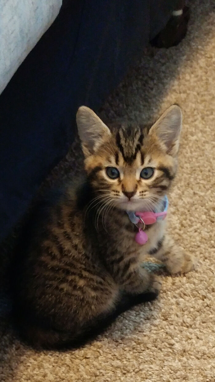 Right After Adoption Sweet Girl