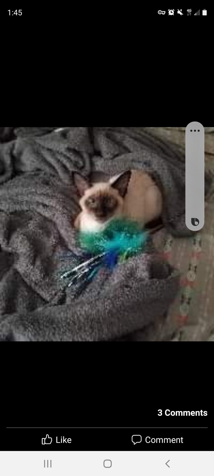 Pretty Boy's 1st Day Home