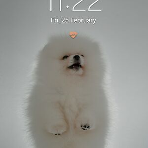 25sharansubburam7uihsdl avatar