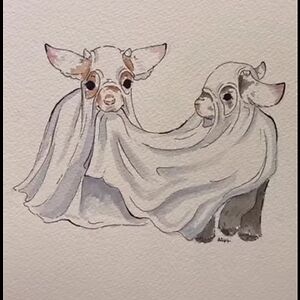 haleyaskew2005 avatar