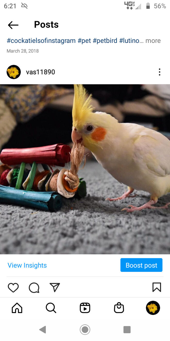 Charlie At 3.5 Months Old