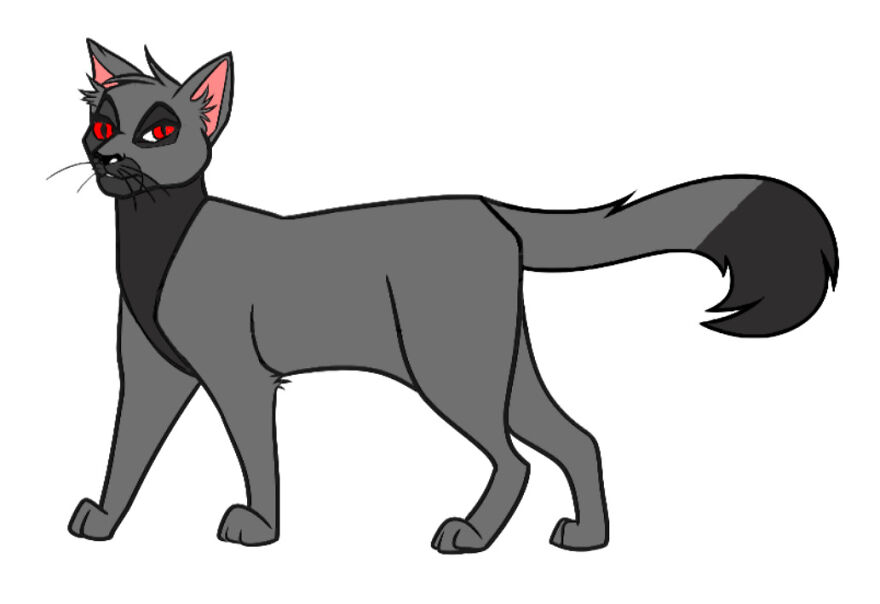 #58 Cat From Warriorcats