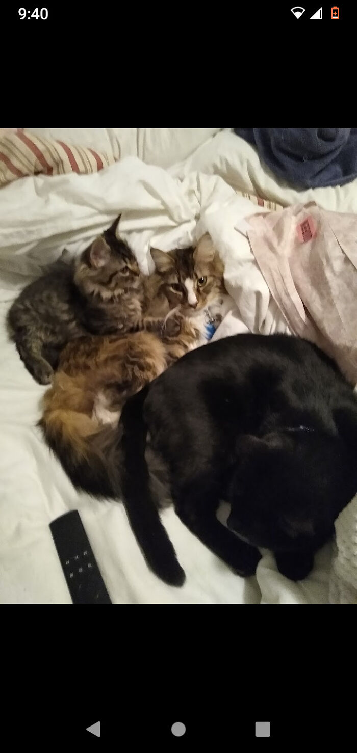 Finn, Harry And Book