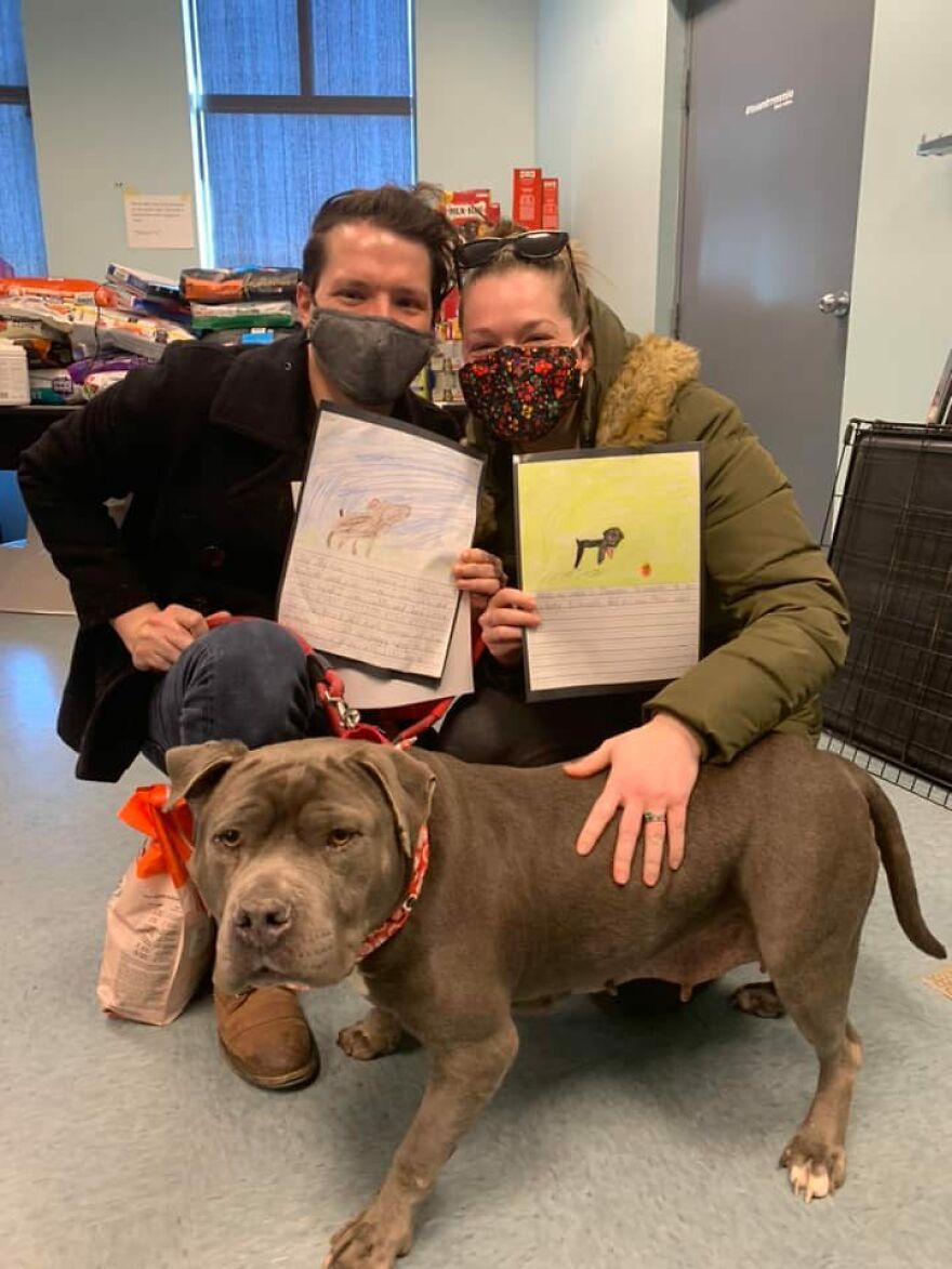 Second Graders Wrote Adorable Letters On Behalf Of Shelter Animals To Get Them Adopted, And It Worked