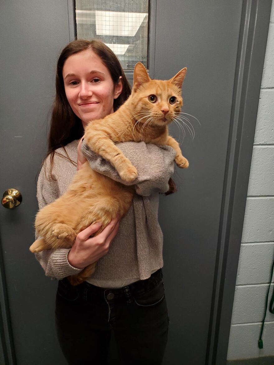 Second Graders Wrote Adorable Letters On Behalf Of Shelter Animals To Get Them Adopted, And It Worked