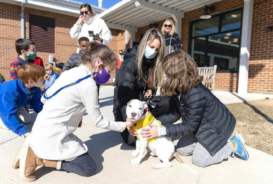 Second Graders Wrote Adorable Letters On Behalf Of Shelter Animals To Get Them Adopted, And It Worked