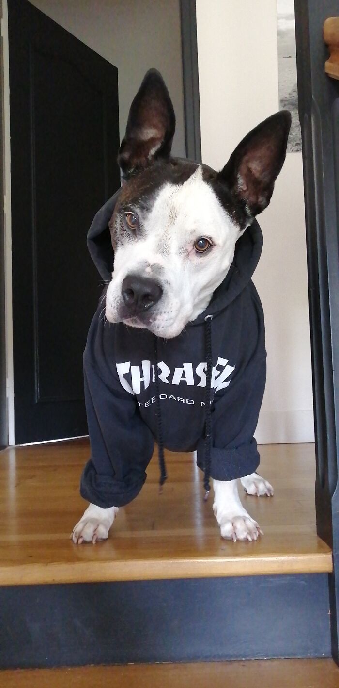 12 Yo Enzo, 2 Years Of Friendship