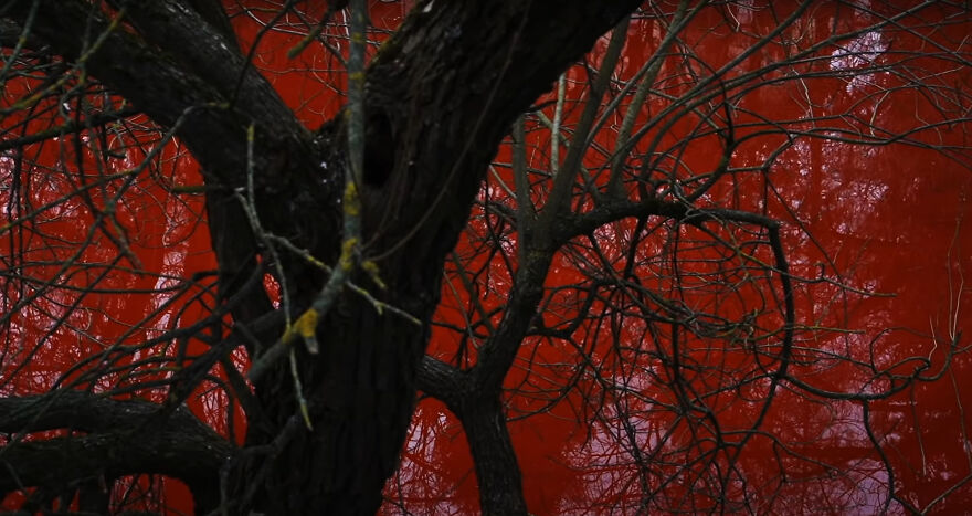 "Swimming Through": We Dyed The Pond In Front Of The Russian Embassy In Lithuania So That It Looks Like Blood "Swimming Through": We Dyed The Pond In Front Of The Russian Embassy In Lithuania So That It Looks Like Blood