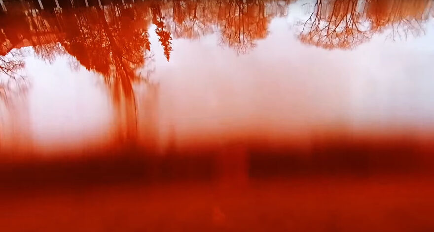 "Swimming Through": We Dyed The Pond In Front Of The Russian Embassy In Lithuania So That It Looks Like Blood "Swimming Through": We Dyed The Pond In Front Of The Russian Embassy In Lithuania So That It Looks Like Blood