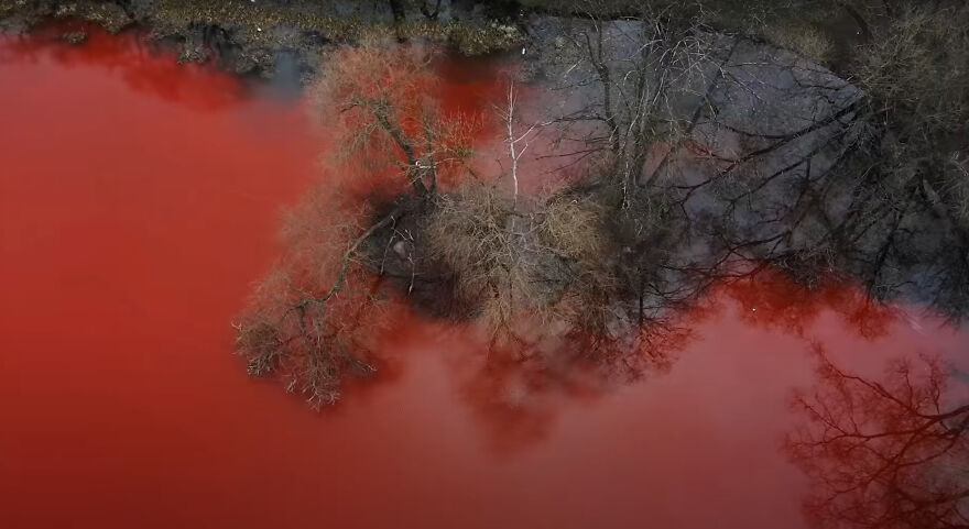 "Swimming Through": We Dyed The Pond In Front Of The Russian Embassy In Lithuania So That It Looks Like Blood "Swimming Through": We Dyed The Pond In Front Of The Russian Embassy In Lithuania So That It Looks Like Blood