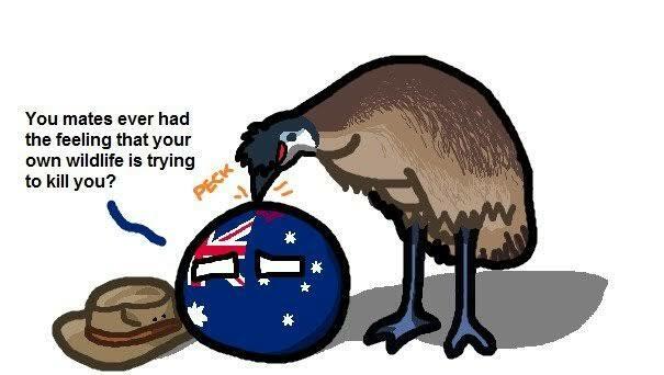 The Great Emu War The Great Emu War