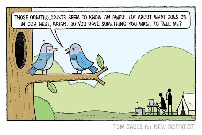 These Tom Gauld Comics Will Bring A Beautiful Smile To Your Face