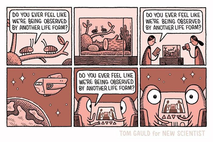 These Tom Gauld Comics Will Bring A Beautiful Smile To Your Face