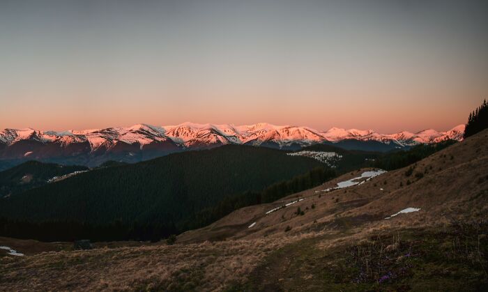 Sunset over snow-capped peaks and forested hills in the Ukrainian Carpathians, showcasing breathtaking mountain scenery.
