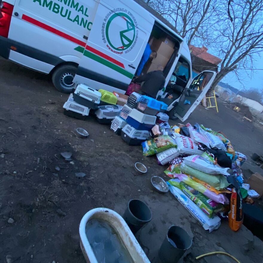 Brave Vet Rescues Traumatized Pets From Ukraine And Delivers Them To Safety