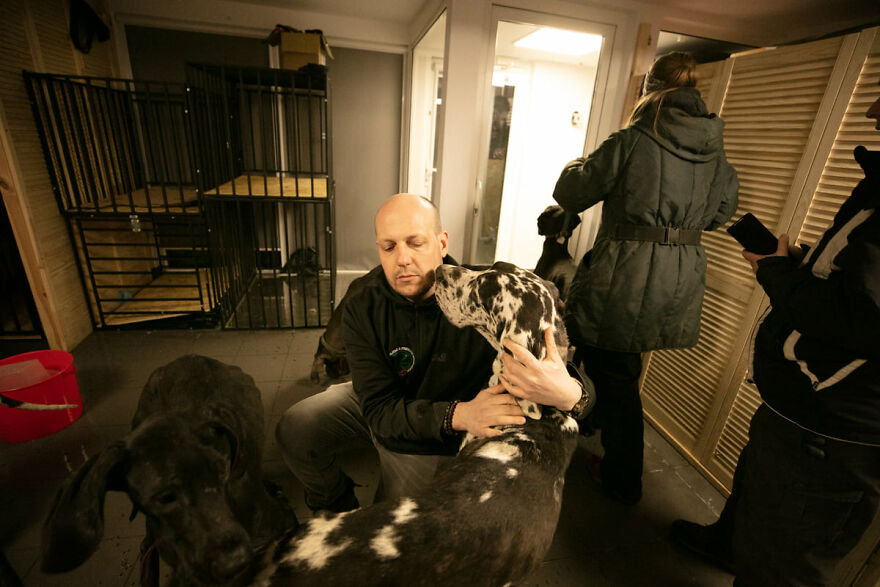 Brave Vet Rescues Traumatized Pets From Ukraine And Delivers Them To Safety