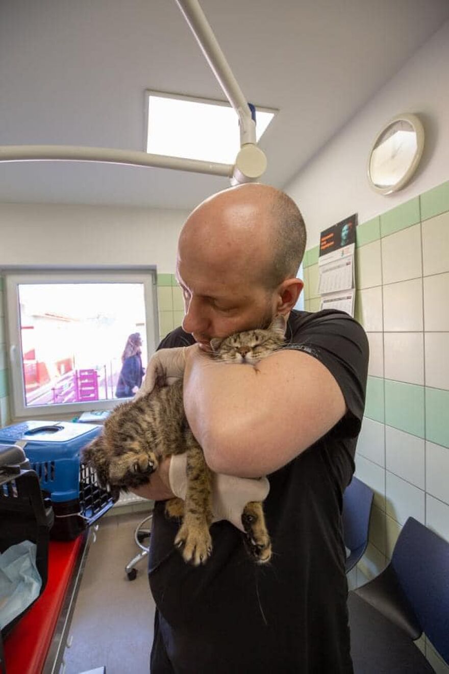 Brave Vet Rescues Traumatized Pets From Ukraine And Delivers Them To Safety