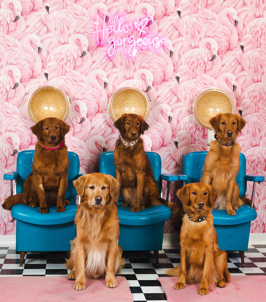 An Extra Special Appearance From The Golden Girls! No, Thank You For Being A Friend!