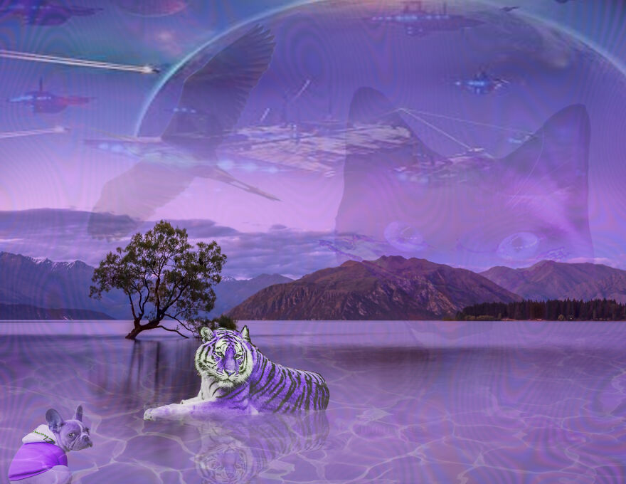 This Was More Of A Photoshop Class. We Were Working On Blending Photos Together