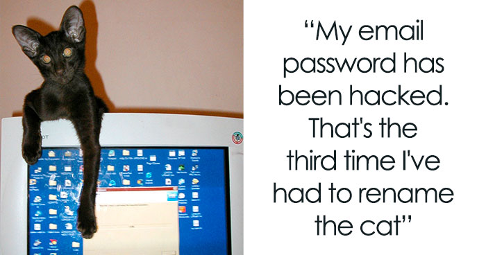 118 Wildly Amazing Animal Jokes