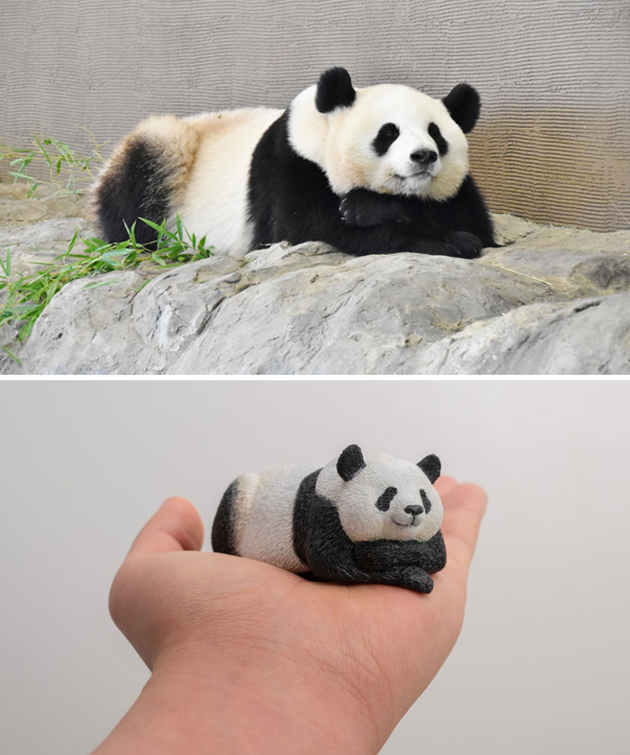 Animals-Funny-Sculptures-Meetissai