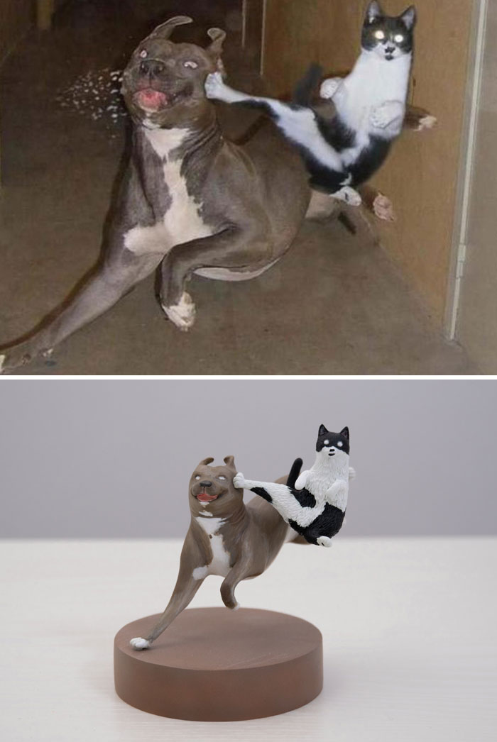 Animals-Funny-Sculptures-Meetissai