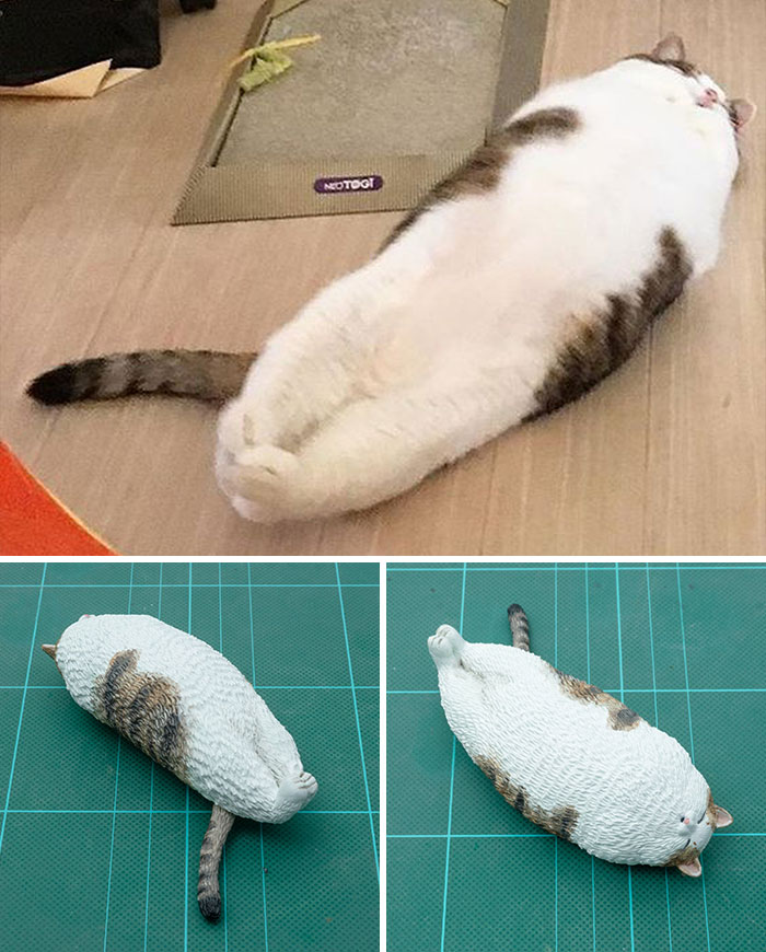 Animals-Funny-Sculptures-Meetissai