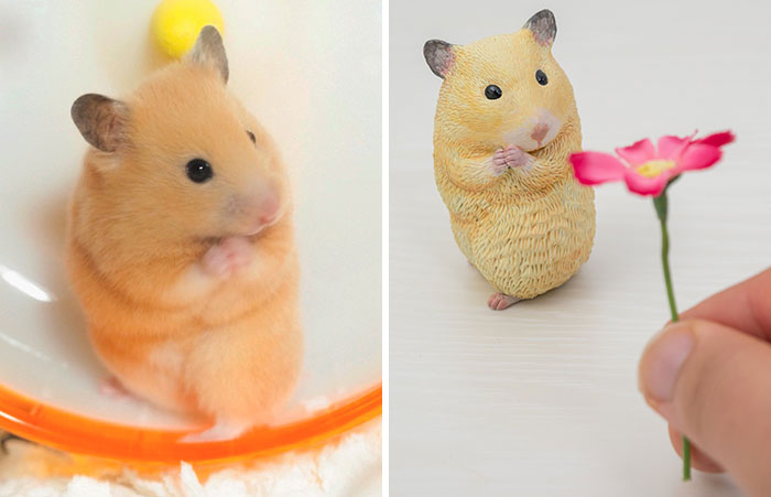 Animals-Funny-Sculptures-Meetissai