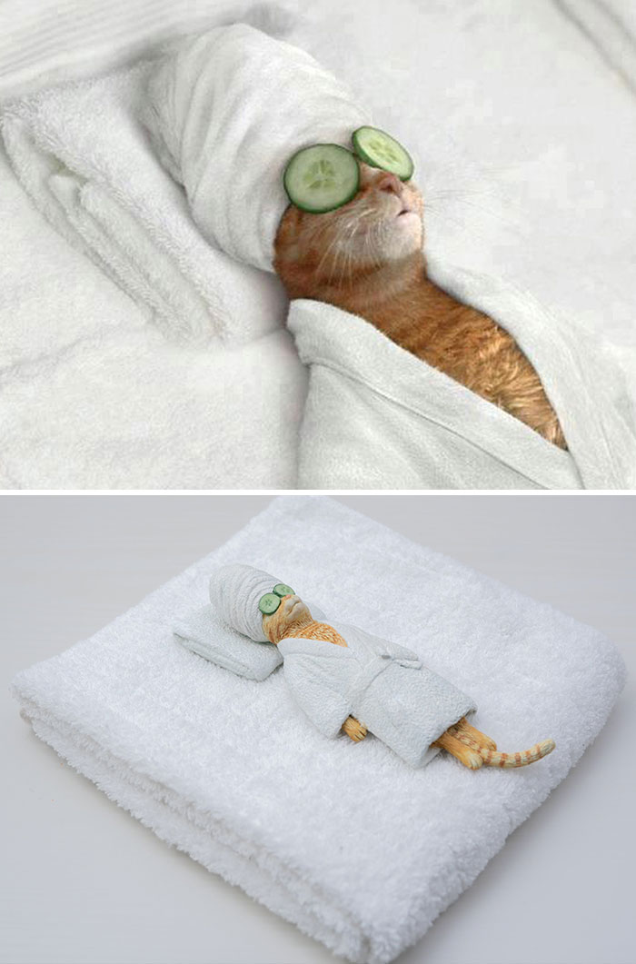 Animals-Funny-Sculptures-Meetissai