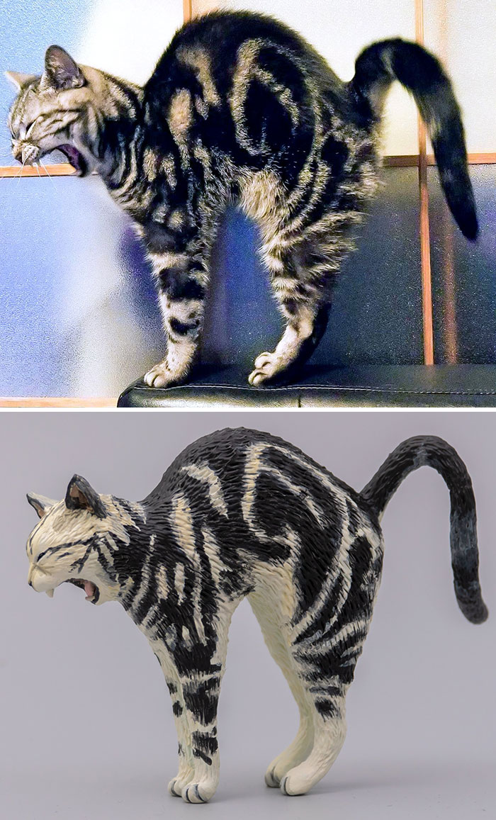 Animals-Funny-Sculptures-Meetissai